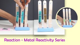 Reaction  Metal Reactivity Series  ThinkTac  DIY Science [upl. by Amehsyt]