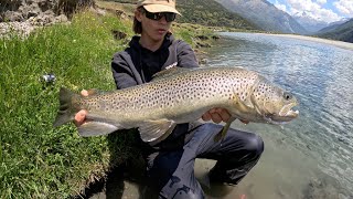 Fish after fish  Trout Fishing New Zealand [upl. by Bary]