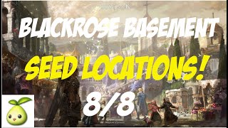 LOST ARK BLACKROSE BASEMENT DUNGEON MOKOKO SEED LOCATIONS [upl. by Drape456]