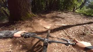 UCSC MTB  following the guys down the bittersweet [upl. by Gay]