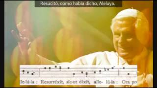 Benedicto XVI  Regina Coeli [upl. by Sehguh]