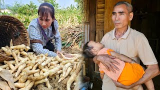 Building new life when daughter leaves  Digging tubers  Gardening  Food processing  Ly Phuc Binh [upl. by Tsirhc820]