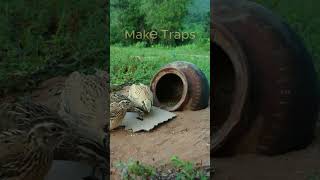 New Creative Unique DIY Quail Trap shorts  Make Traps [upl. by Merwin]