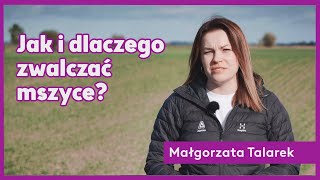 Jak i dlaczego zwalczać mszyce [upl. by Ruffo]