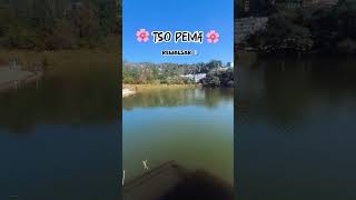 rewalsar lake himachal nature naturephotography explore shortsvideo youtubeshorts [upl. by Hanan48]