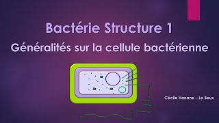 Bactérie Structure 1 BACTERIE [upl. by Nyleikcaj]