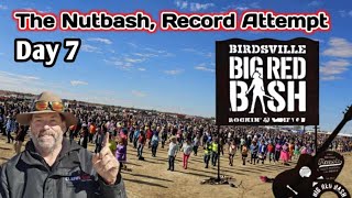 Big red bash Nutbush Fever Witness the RecordBreaking Finale [upl. by Isej]