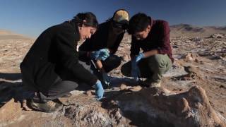 Los Avances de la Biología Sintética  Exploradores 2016 [upl. by Clava]