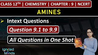 Class 12th Chemistry Chapter 9  Intext Questions  Question 91 to 99  Amines  NCERT [upl. by Ehttam780]