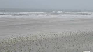 Hurricane Debby Vilano Beach [upl. by Kondon]