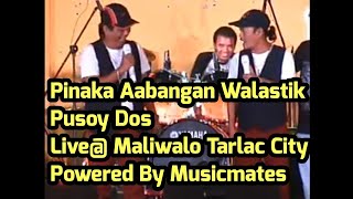 Pusoy Dos LIVE  MALIWALO TARLAC CITY  POWERED BY MUSICMATES [upl. by Yevi]