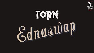 Ednaswap  Torn Karaoke  Instrumental [upl. by Inglebert]