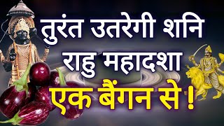 सिर्फ एक बैंगन तुरंत उतारेगी आपके जीवन से शनि और राहु केतु की महादशा YouTube [upl. by Sleinad]