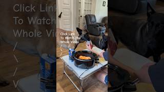 Dog Crockpot Meal Short smartdog belgianmalinois doglife [upl. by Anailil]