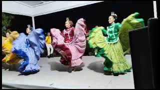 Nayarit grupo Folklórico TOLTEKIANI 💖 [upl. by Allayne]