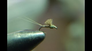 FLY TYINGRS2 EMERGER [upl. by Aihpos121]