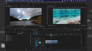 Adobe Premiere Project Panel Explained [upl. by Iain]