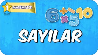 Sayılar 📘 1Sınıf Matematik 2025 [upl. by Aiuhsoj812]