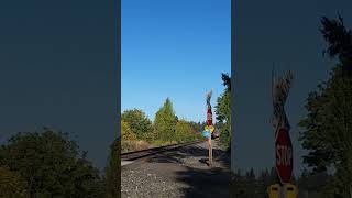 Operation Lifesaver starlingrimes trainsofpnw short railroadphotography Amtk203 Amtk11 [upl. by Atisusej]