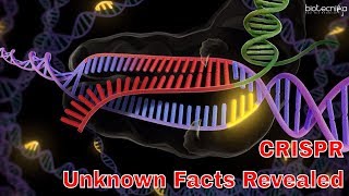 Unknown Facts About CRISPR cas9 Gene Editing Technique  Voice of Biotecnika [upl. by Aicyle]