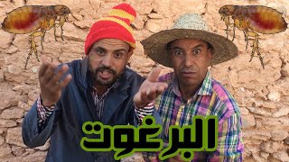 الموت ديال الضحك مع فوائد البرغوت😂😂 مع ماجوك ولهديلي [upl. by Meid]