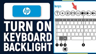 How To Turn On Keyboard Light Or Backlight On HP Laptop Easy  Enable Backlight [upl. by Eemiaj]