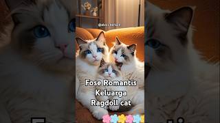 Ragdoll Cat Fose Romantis funny kucingtrending [upl. by Asseret]