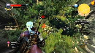 The Witcher 3 Contract Strange Beast  Quest Walkthrough [upl. by Berardo687]