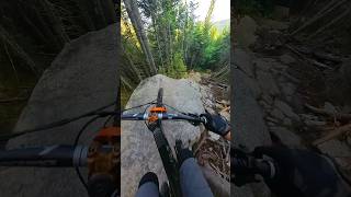 Love this trail Pro lines galore Have you watched the full video on my channel mountainbike [upl. by Arraeis7]