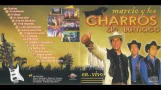 Los Charros de Lumaco  En Vivo 2007  FULL ALBUM [upl. by Elamor364]