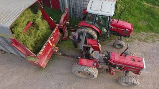 Massey Ferguson 4253 and 375 Blowing Silage [upl. by Kenward]