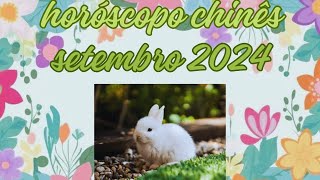 Horóscopo Chinês  Setembro 2024  Coelho [upl. by Akinas]