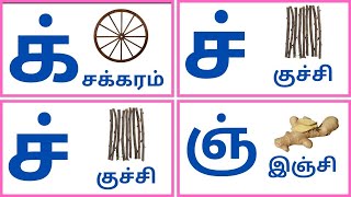 மெய் எழுத்துக்கள்mei eluthukkallearn tamil letters க் ங் ச் ஞ் kidswithfunlearning [upl. by Nitnilc467]