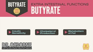 Extra Intestinal Functions of Butyrate [upl. by Eenafets]