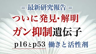 ついに発見・解明 ガン抑制遺伝子 p16とp53 働きと活性剤 [upl. by Clement]