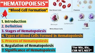 Hematopoiesis  Formation of blood  Erythropoiesis  Hematopoiesis MSc zoology Hindi notes [upl. by Thorbert]