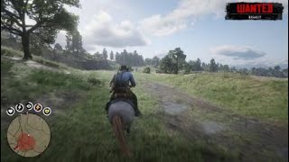 Red Dead Redemption 2 Easy Sharpshooter Challenge 9 [upl. by Enirehtak]