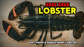 EREK EREK LOBSTER 2D 3D 4D amp ARTI MIMPI TENTANG LOBSTER [upl. by Banna811]