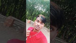 tum hi to tomar moto hai hariye gecho a jana trending shortvideo viralshorts subscribe [upl. by Barina]