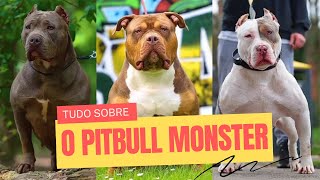 Pitbull Monster O Verdadeiro Guardião – Tudo Sobre Essa Raça Incrível [upl. by Htiduj556]