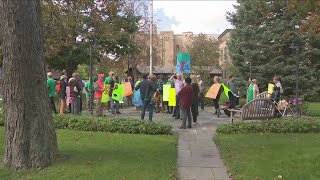 Protests against possible Zoar Valley logging [upl. by Ayanet]