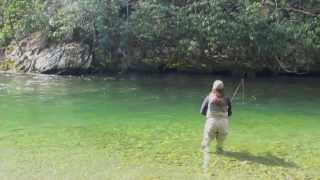 Fly Fishing the Blue Quill Hatch in the Great Smoky Mountains [upl. by Aivata]