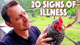 20 Signs That Your Chicken Is Sick You Need To Know Them ALL [upl. by Delcine]