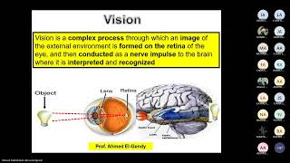 Physiology of Vision by Dr Ahmed Elgendy [upl. by Per431]