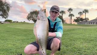 BASS FISHING PRODUCTION CATCHING RARE KNIFE FISH For BACKYARD POND [upl. by Torrlow]