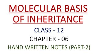 CLASS 12  BIOLOGY  CHAPTER 6  MOLECULAR BASIS OF INHERITANCE  HAND WRITTEN NOTES  PART2 [upl. by Lancelot836]