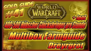 WoW Gold Guide 41  400500 Hübscher Glücksbringer pro Stunde  loot Multibox FarmguideDreyrgrot [upl. by Adrell719]