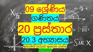 grade 9 maths 203 අභ්‍යාසය20 ප්‍රස්තාර nuwana [upl. by Ahsinra]