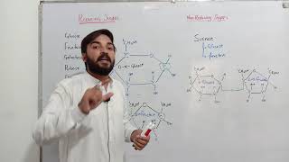 Reducing and non reducing sugar  MDCAT  FSc  Neet  Dr Shakeel Ansari [upl. by Enialed]