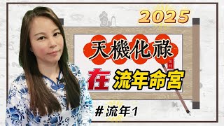 靈機靈姬學院紫微斗數2025年 流年1 天機化祿在流年命宮Zi Wei Dou Shu is a branch of Chinese Astrology [upl. by Sremmus]